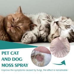 Yegbong Pet Skin Medicine Spray, Cats And Dogs To Remove Mite Skin Itching To Remove Red Hair To Itch