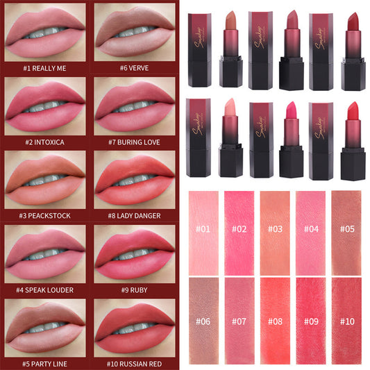 10 Colors Discoloration Resistant Matte No Stain On Cup Makeup Lipstick