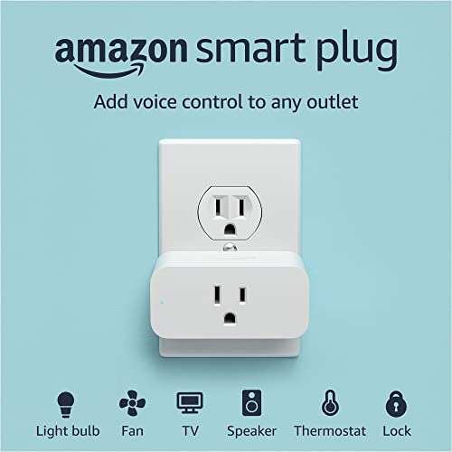 Amazon Smart Plug | Works with Alexa | Simple setup, endless possibilities