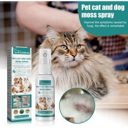 Yegbong Pet Skin Medicine Spray, Cats And Dogs To Remove Mite Skin Itching To Remove Red Hair To Itch