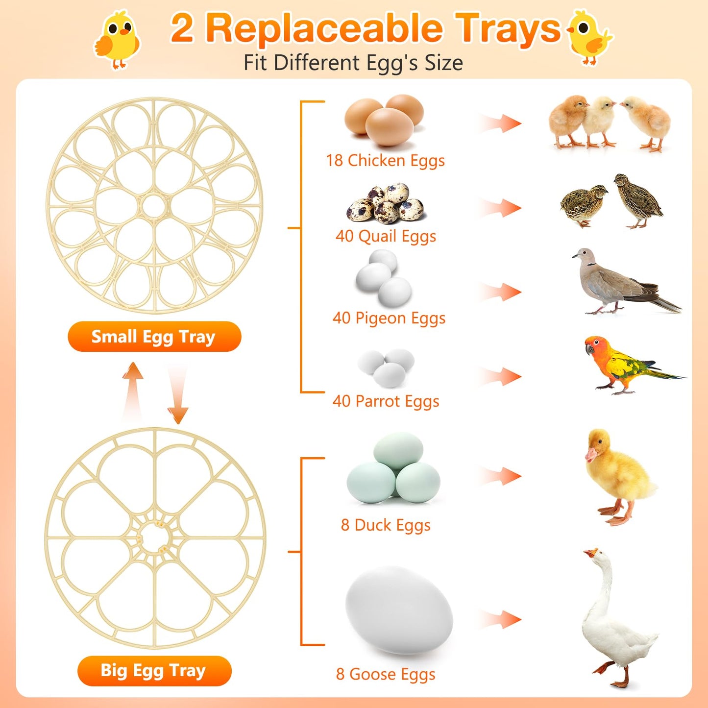 18 Egg Incubator with Automatic Egg Turning and Humidity Control, Incubators for Hatching Eggs, Chicken, Ducks, Goose, Pigeon, Quail, Parrot Incubator for Farm, Lab, Science Classroom, Home (Orange)