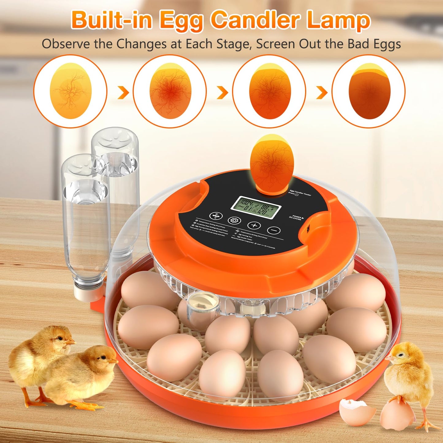 18 Egg Incubator with Automatic Egg Turning and Humidity Control, Incubators for Hatching Eggs, Chicken, Ducks, Goose, Pigeon, Quail, Parrot Incubator for Farm, Lab, Science Classroom, Home (Orange)