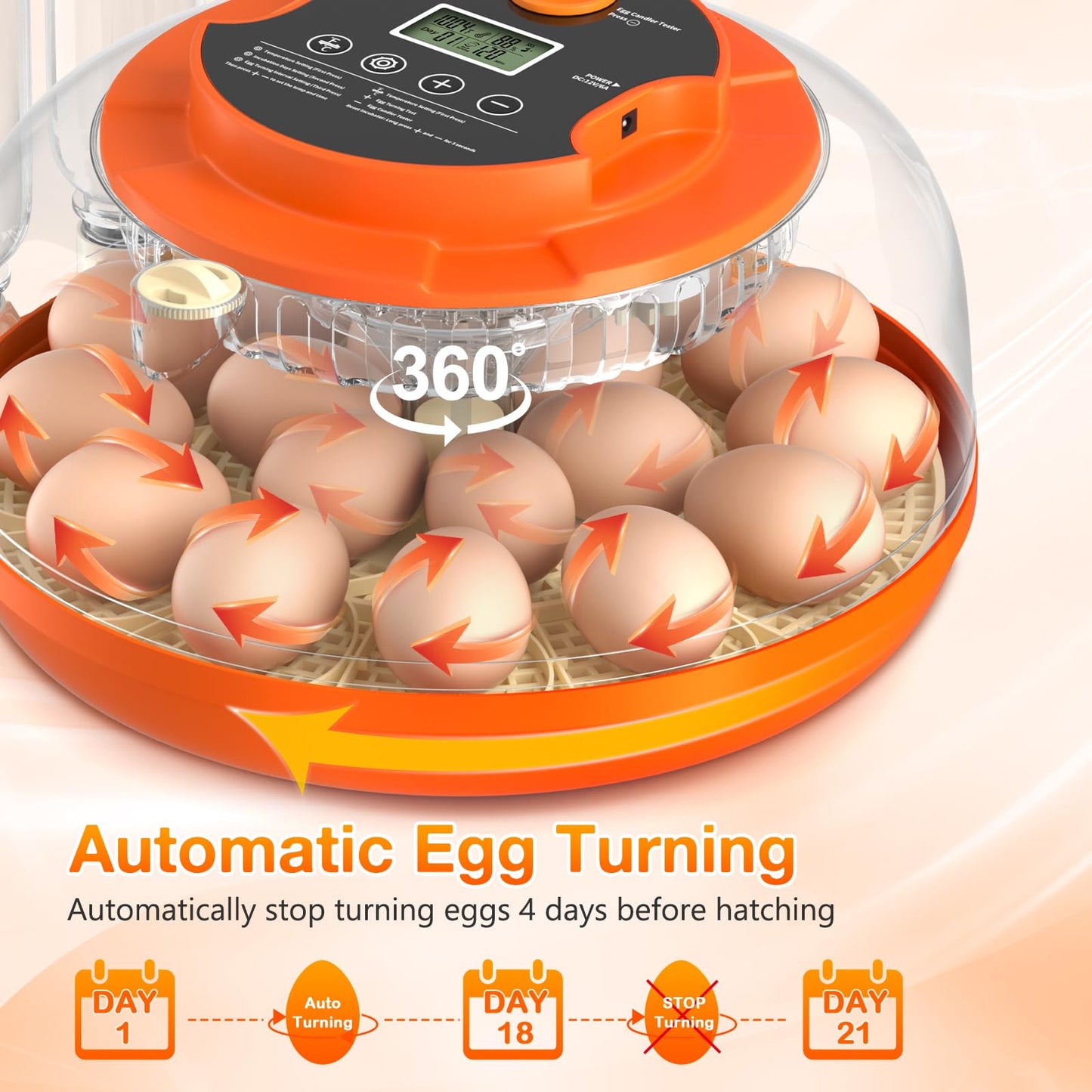 18 Egg Incubator with Automatic Egg Turning and Humidity Control, Incubators for Hatching Eggs, Chicken, Ducks, Goose, Pigeon, Quail, Parrot Incubator for Farm, Lab, Science Classroom, Home (Orange)