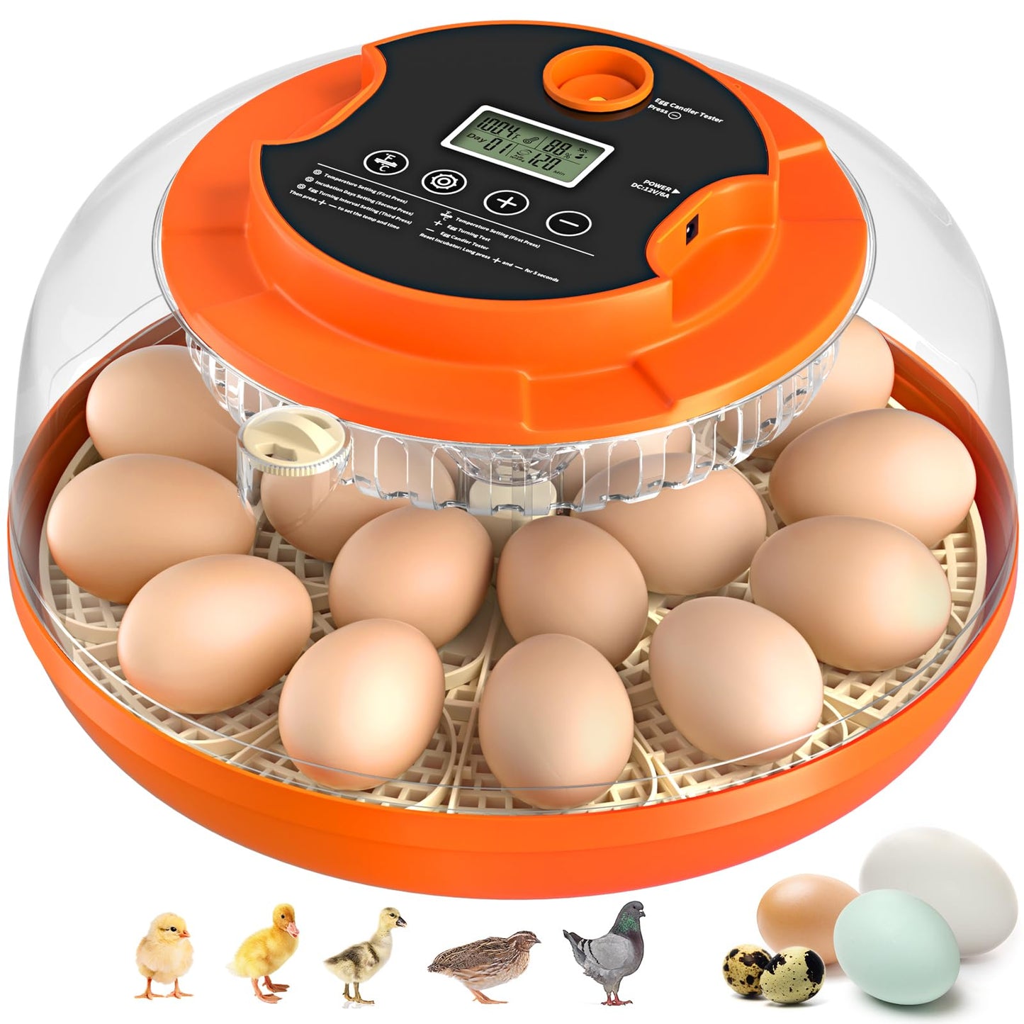 18 Egg Incubator with Automatic Egg Turning and Humidity Control, Incubators for Hatching Eggs, Chicken, Ducks, Goose, Pigeon, Quail, Parrot Incubator for Farm, Lab, Science Classroom, Home (Orange)