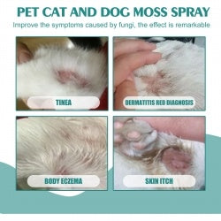 Yegbong Pet Skin Medicine Spray, Cats And Dogs To Remove Mite Skin Itching To Remove Red Hair To Itch