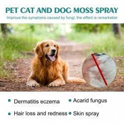 Yegbong Pet Skin Medicine Spray, Cats And Dogs To Remove Mite Skin Itching To Remove Red Hair To Itch